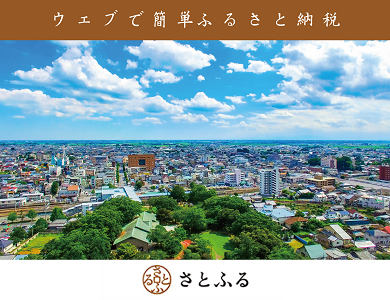 ふるさと納税サイト「さとふる」の佐野市のページバナー