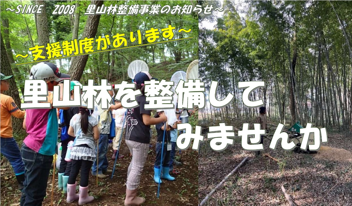 チラシ表1