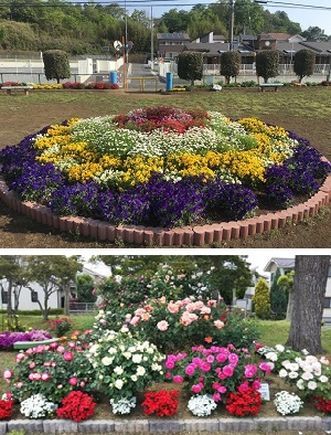 米山公園の円形花壇の写真
