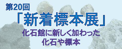 第20回「新着標本展」タイトル
