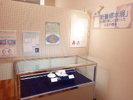 第13回新着標本展全景