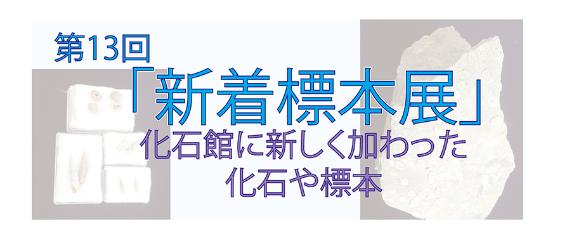 第13回「新着標本展」タイトル