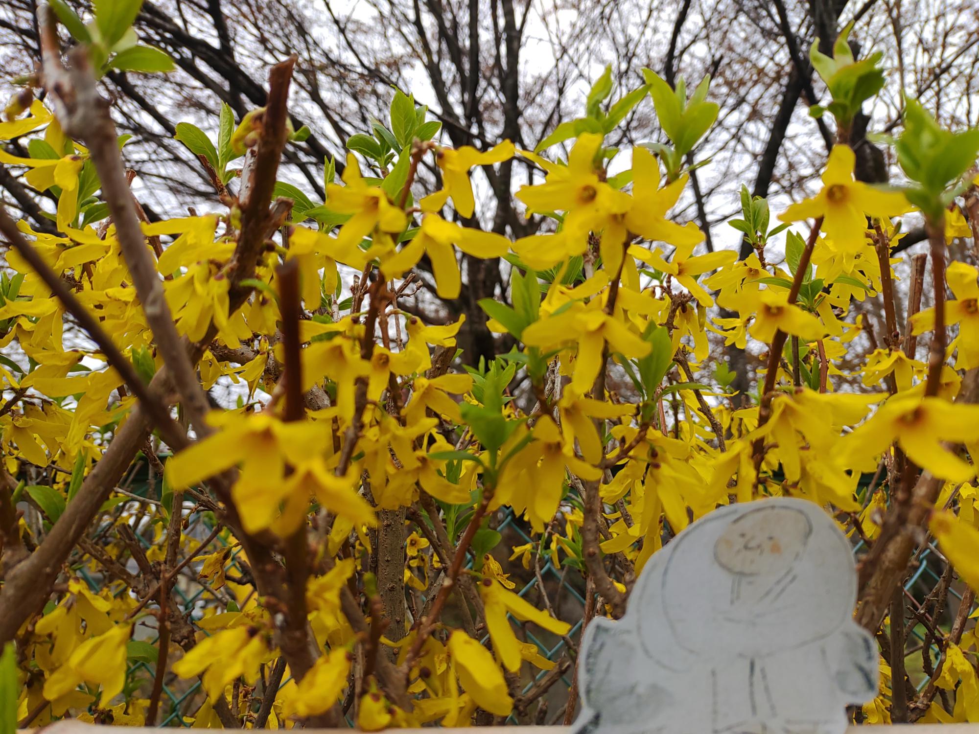 吉美日誌20240501その2