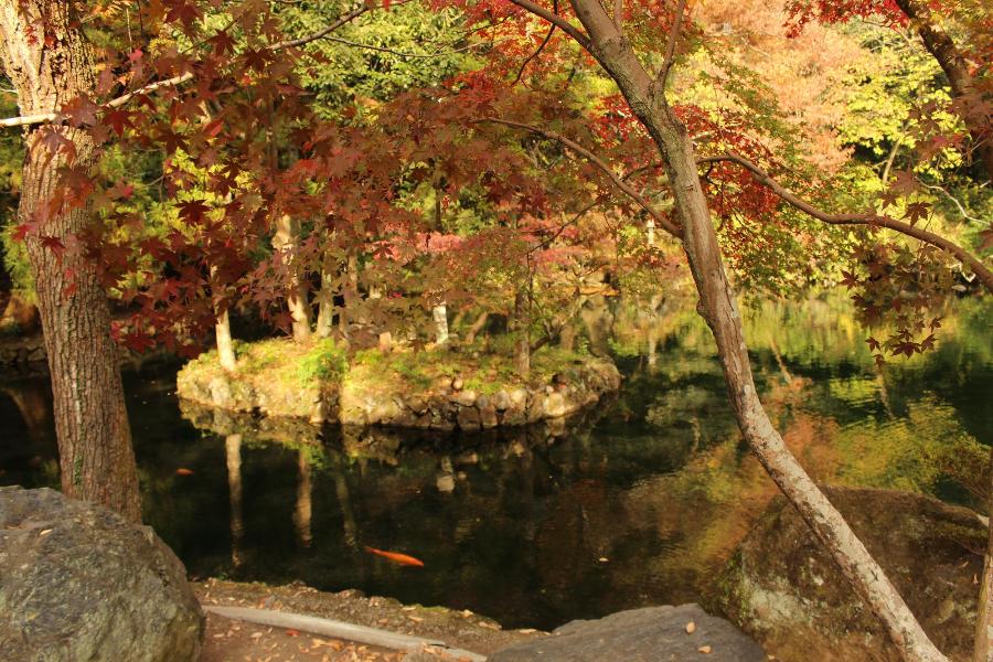 出流原弁天池の紅葉の写真