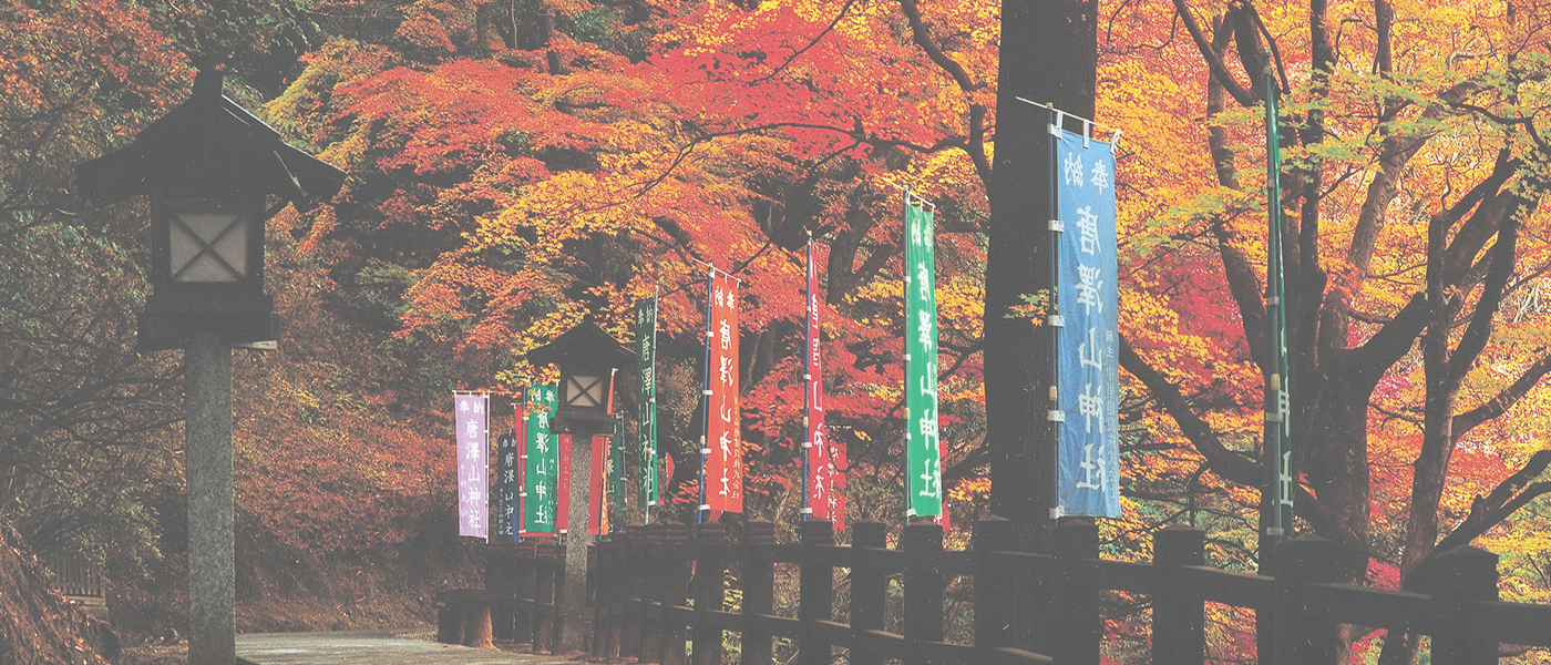 神社における紅葉の様子