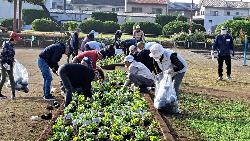 米山南町花づくり倶楽部