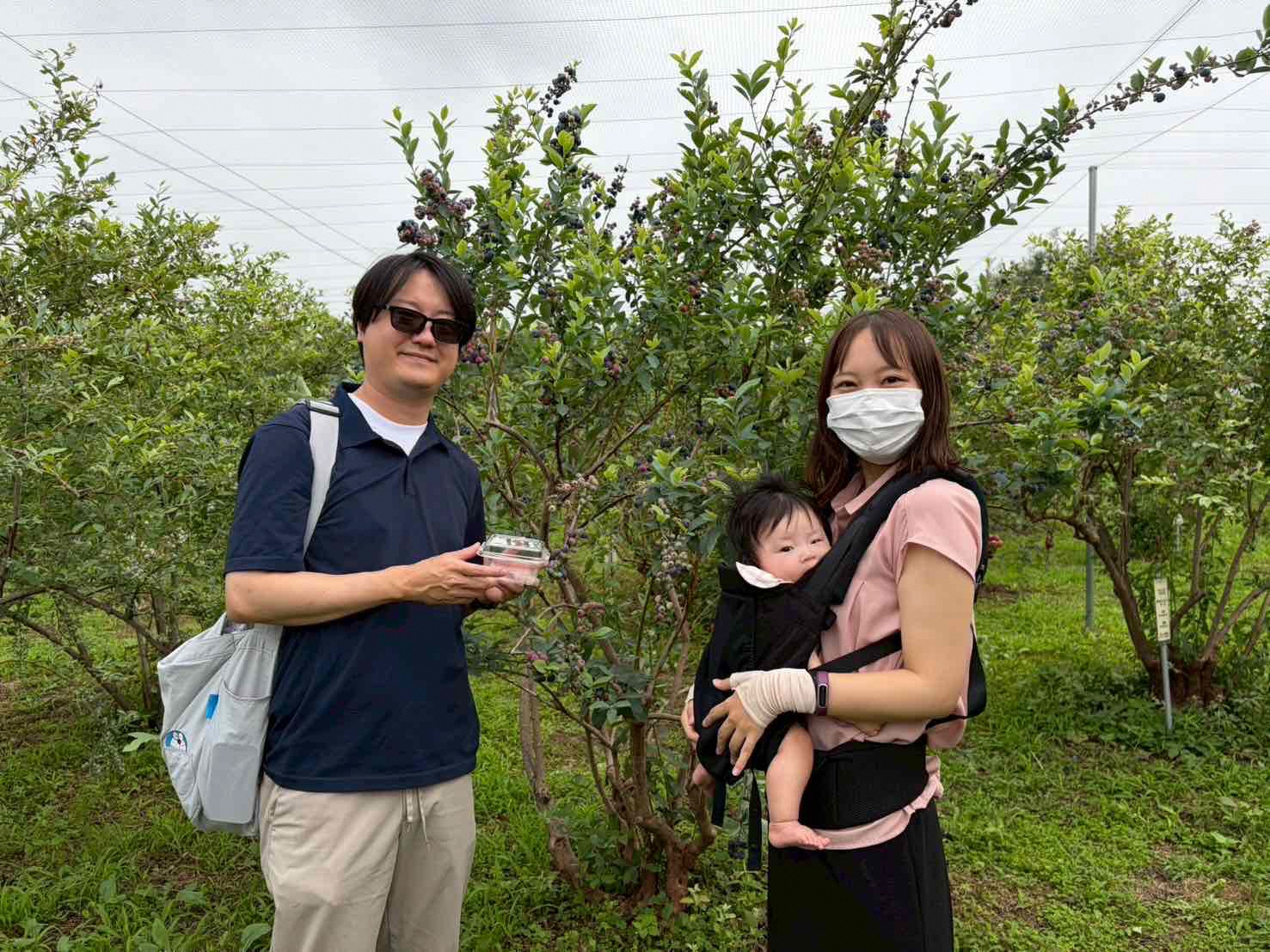 参加者ブルーベリー狩りを楽しむ親子