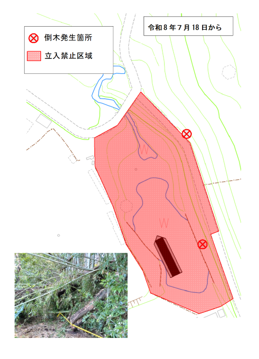 倒木による立ち入り禁止区域