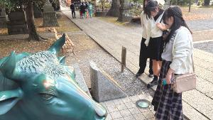 R7_JKmedia_sisekishuzai_go