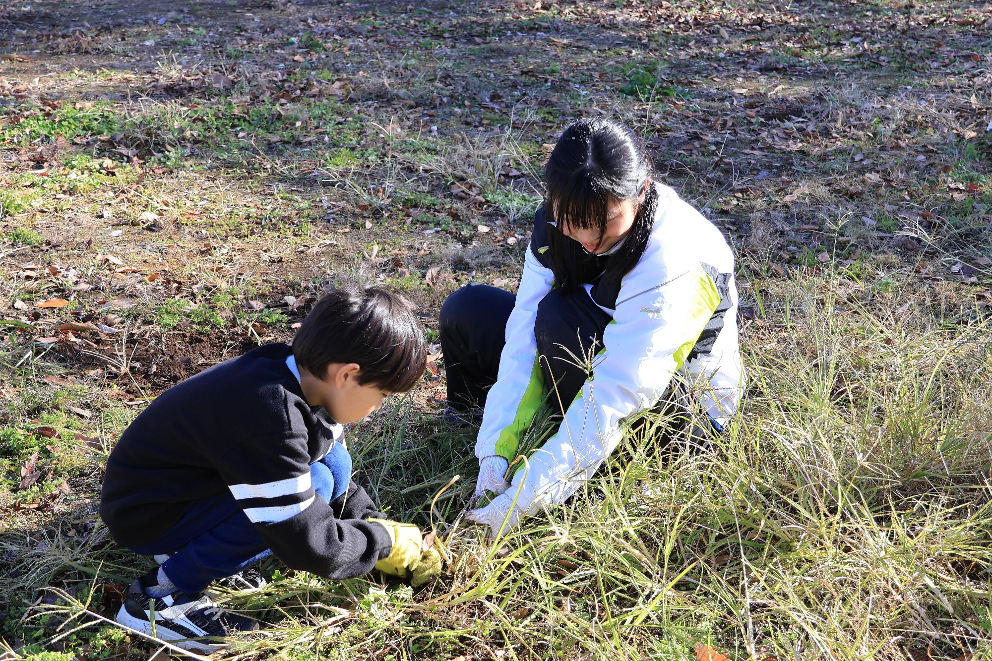公園清掃