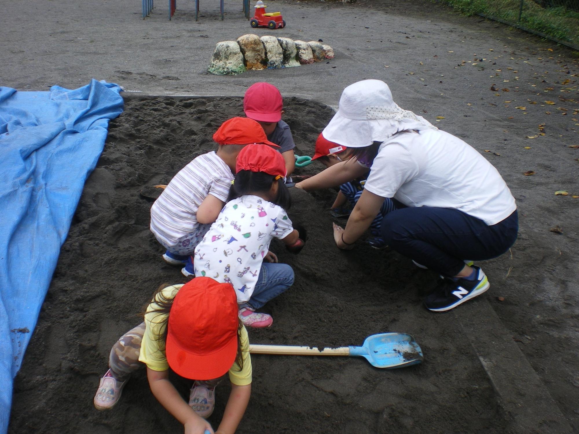 砂遊びをする赤い帽子をかぶった園児たちと保護者の写真