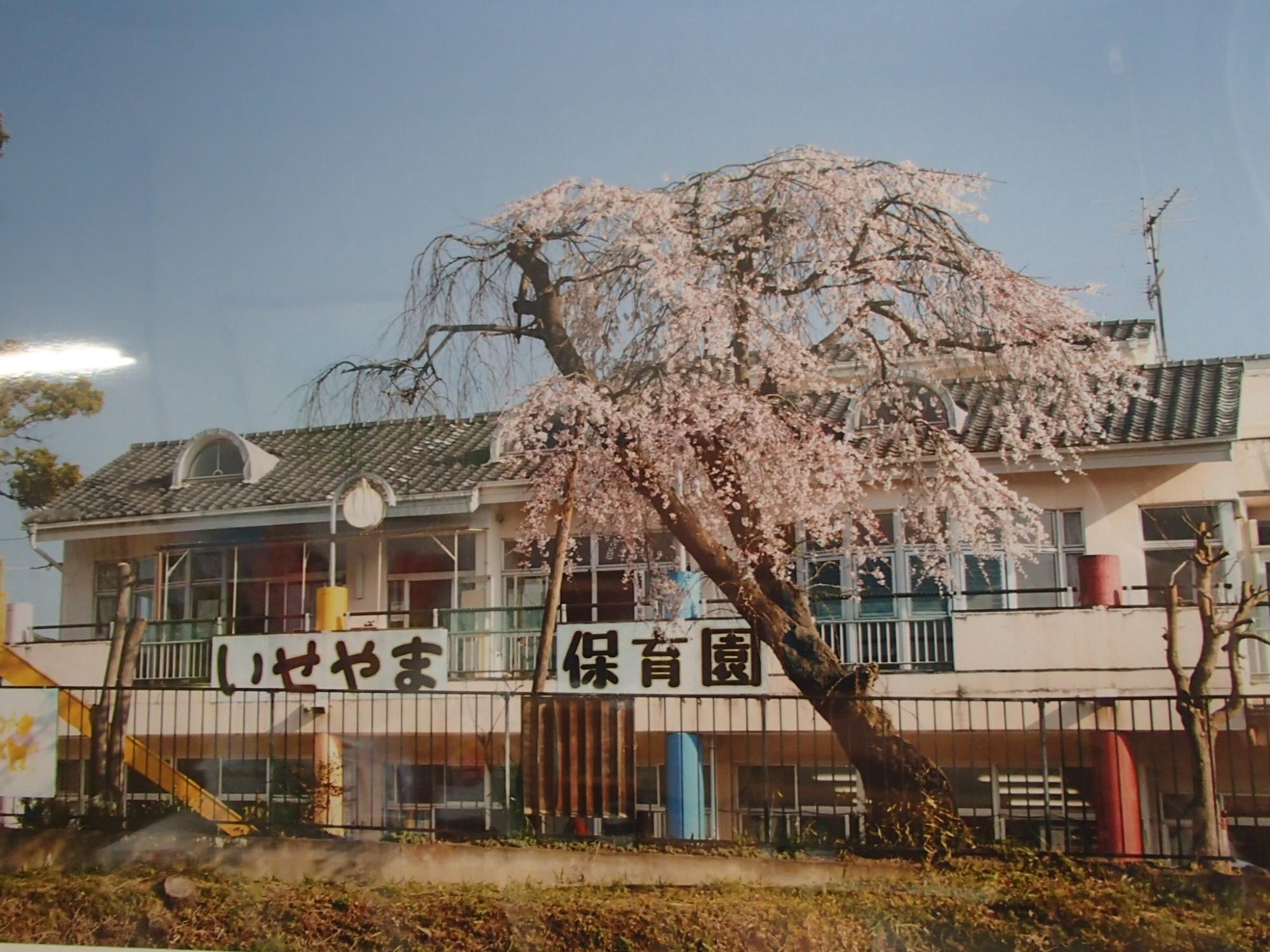 伊勢山保育園園舎