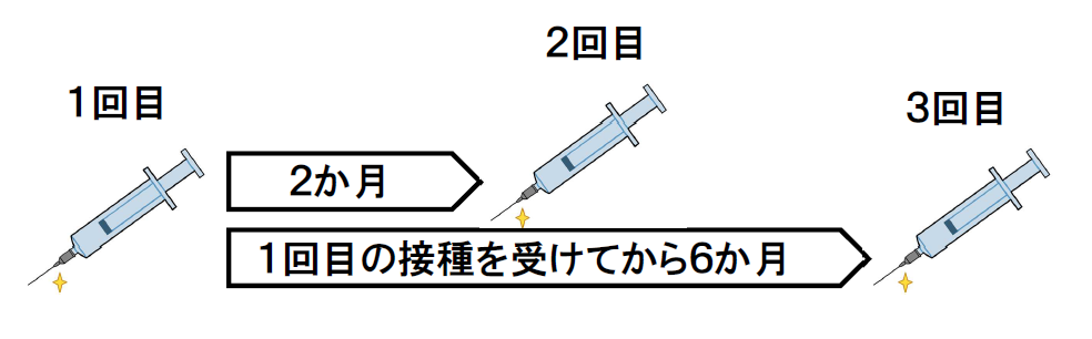 4価HPVワクチンの標準的な接種スケジュール。2回目は1回目接種から2か月後 3回目は1回目接種から6か月後。