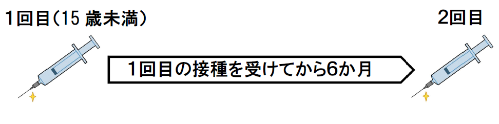 9価HPVワクチン2回接種の標準的な接種スケジュール。。2回目は1回目接種から6か月後。