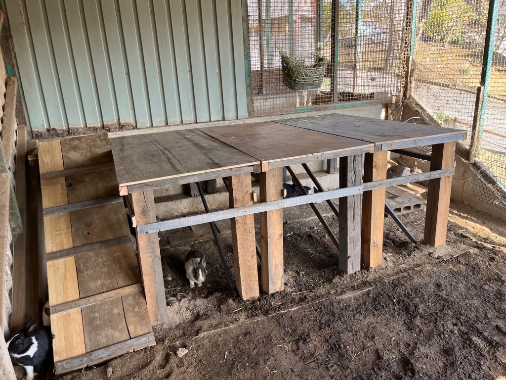 うさぎ小屋に台とフィーダーを設置しました。