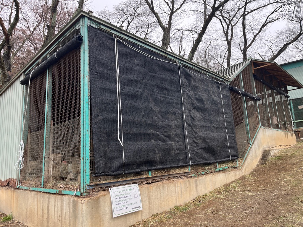 令和8年3月25日 うさぎ小屋にカーテンを設置しました。カーテンが閉まっている時は休憩していますので、開けないようお願いいたします。