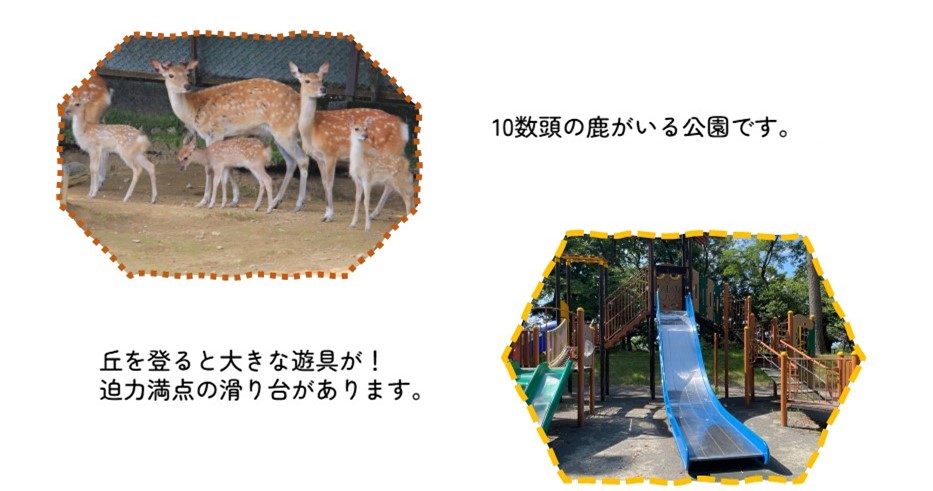 10数頭の鹿がいる公園です。丘を登ると大きな遊具が！迫力満点の滑り台があります。