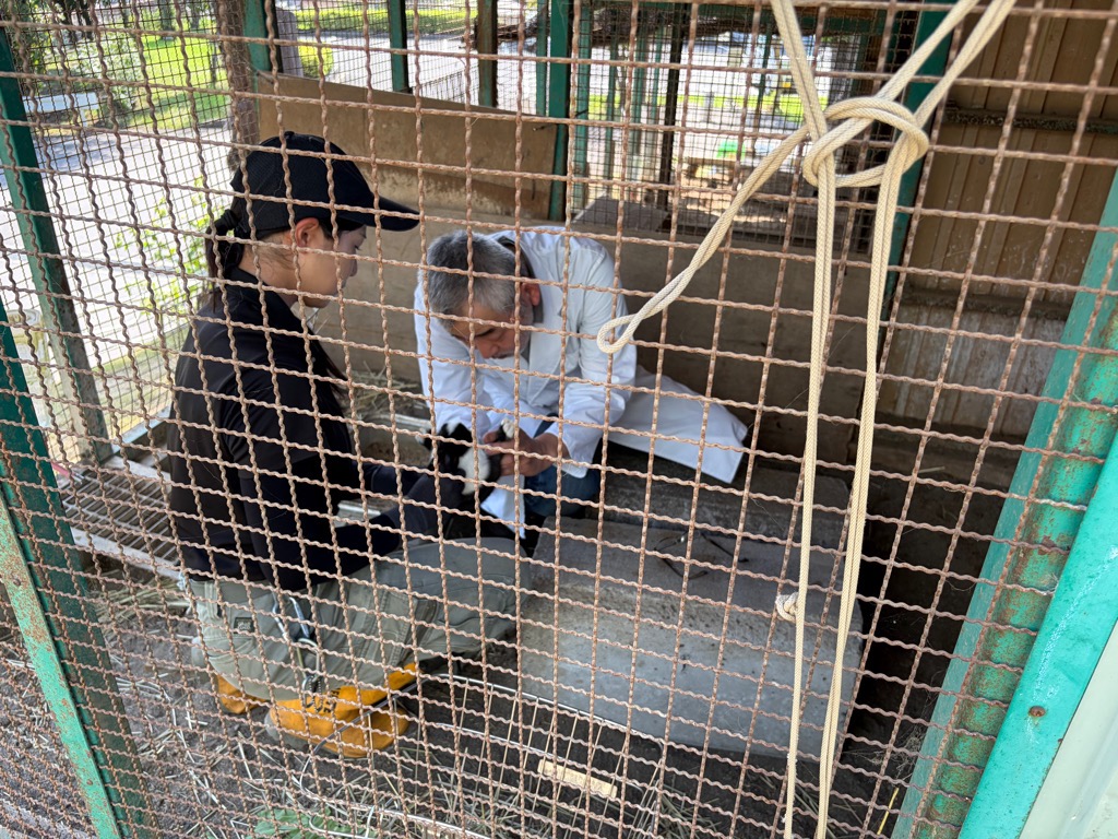 嘉多山公園うさぎ飼育指導