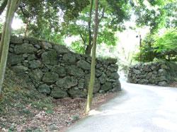 道のわきに大きな石垣があり石垣の手前と石垣の上に木が生えている写真