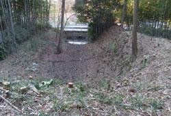家中屋敷の竹林の一角の土地が削られ溝ができている写真