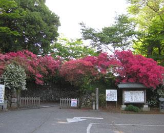 緑色の木々とピンク色のつつじの花の下の唐沢山城跡の入り口にあるくい違い虎口の写真