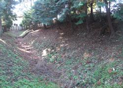 堀とその両脇に土塁があり土塁の上に木々が生えている阿曽沼城跡の写真