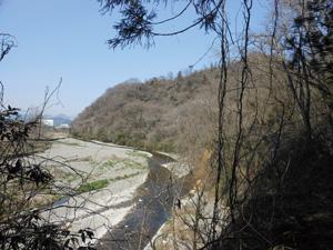 木々の間から下を眺めると真ん中に秋山川が流れており右手に山があり左側は河川敷が広がっている写真