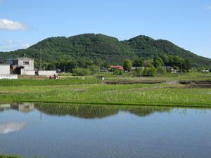 沼尻付近(現栃木市・旧藤岡町)から望む三毳山と手前に広がる田植えをした水田の写真