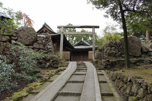 鳥居に続く階段の両脇に石垣が詰まれ鳥居の奥には本丸の建物が建っている写真
