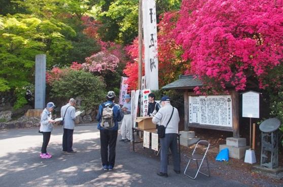 右側には色鮮やかなピンク色の花が咲いた木、右側には葉の緑いろが映える木がありそのそばで史跡唐沢山城跡保存会春の攻略ガイドツアーの参加者たちが資料を見ている写真