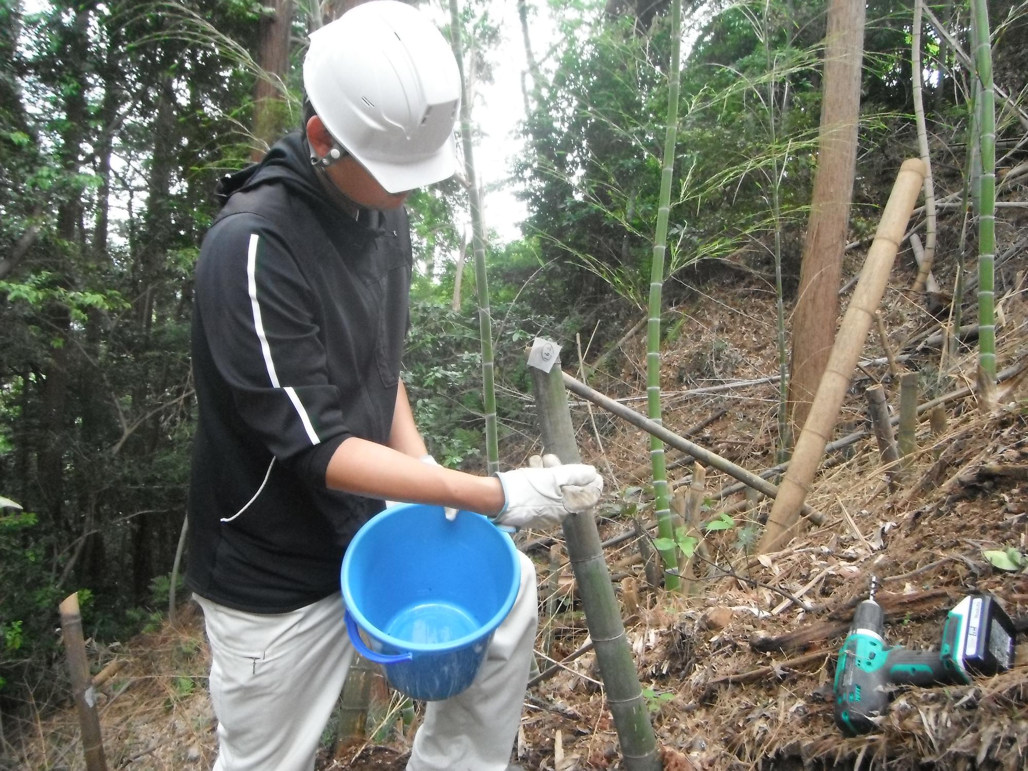 除草剤注入作業の状況