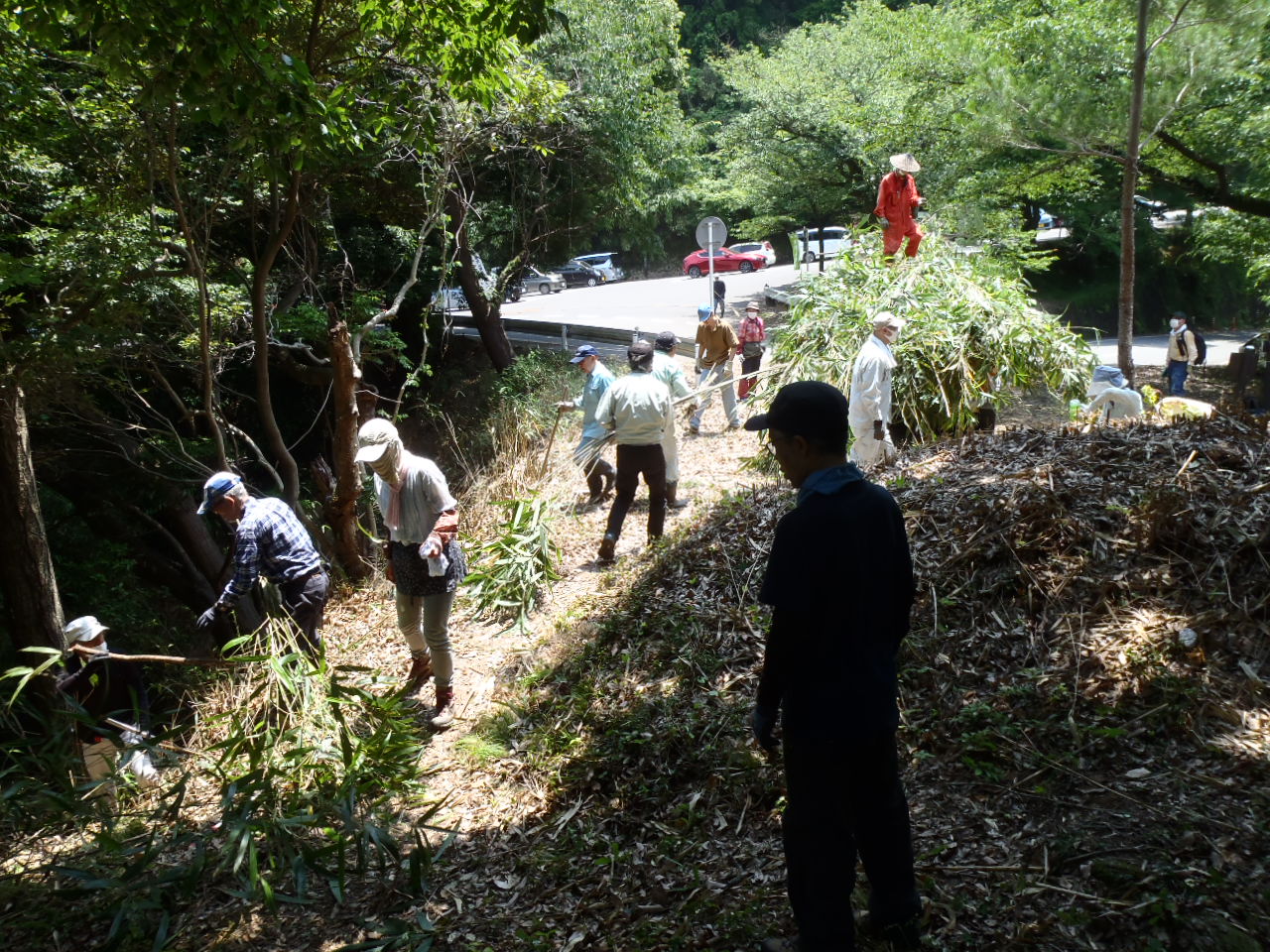 春季の史跡唐沢山城跡保存会による環境維持活動（土矢倉）