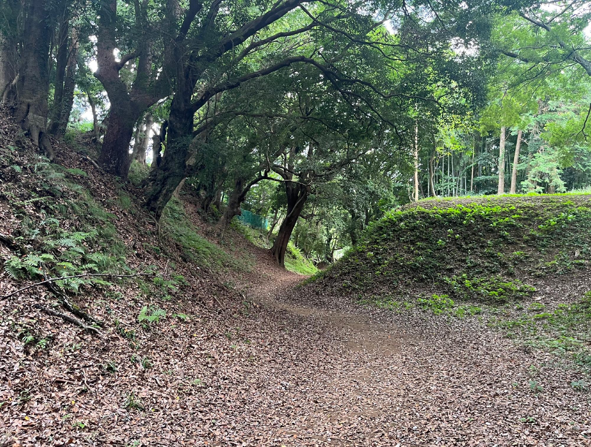 小田原城小峯御鐘ノ台大堀切