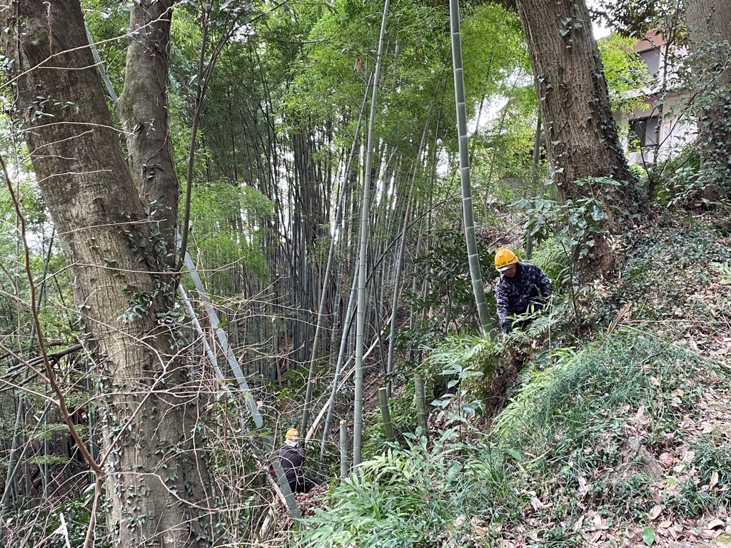 竹伐採作業状況(南城東側)