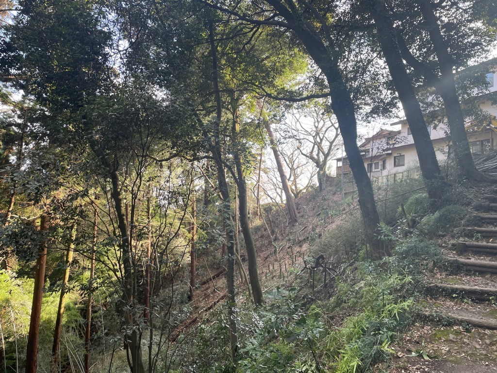 竹伐採後状況(南城東側)