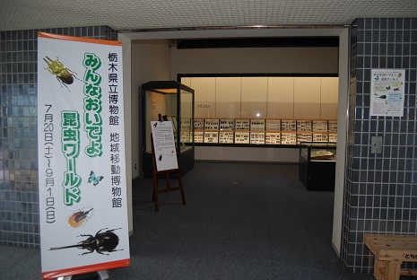 栃木県立博物館地域移動博物館「みんなおいでよ！昆虫ワールド」開催の写真1