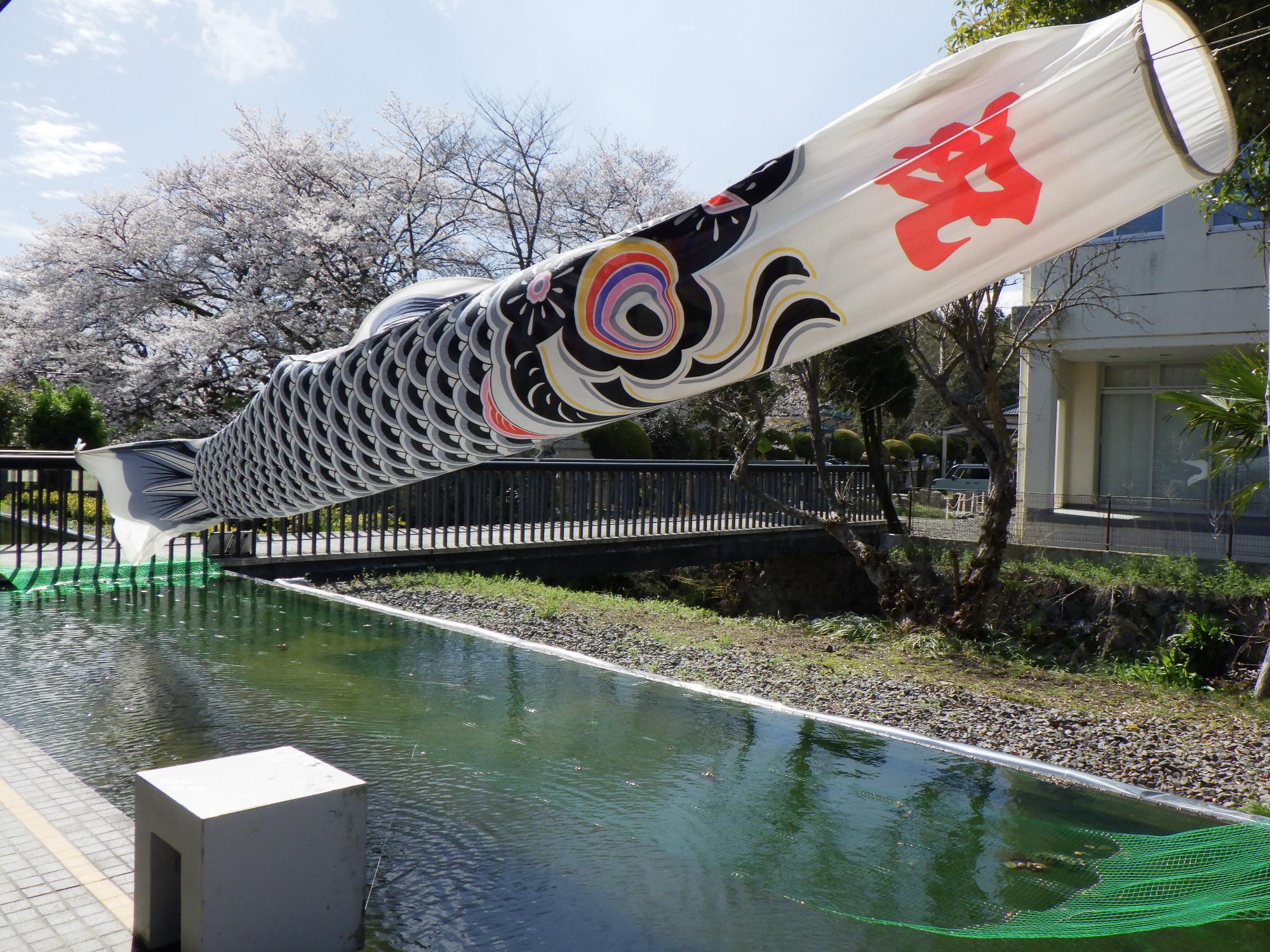 展示の様子その1