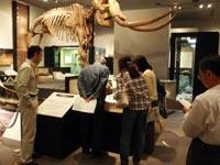 ボランティアの方々が化石館を見学している写真
