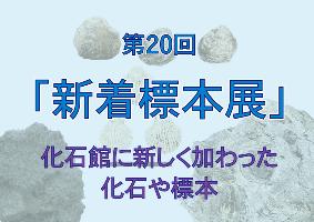 第20回新着標本展のタイトル画像