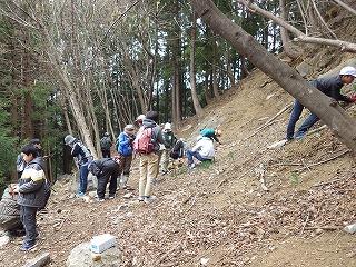 山の斜面で化石採集をしている参加者達の写真