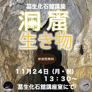 企画展関連講座「洞窟の中の生き物達」タイトル画像
