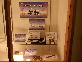 2026年ミニ干支展示全景