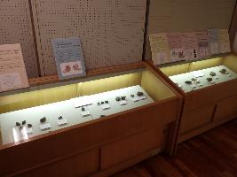 展示ケースの写真
