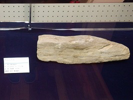 日立市産の石灰岩