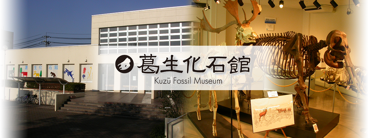 葛生化石館