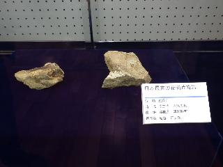 日本最古の花崗片麻岩の写真