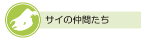 サイの仲間たちバナー