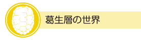 葛生層の世界バナー