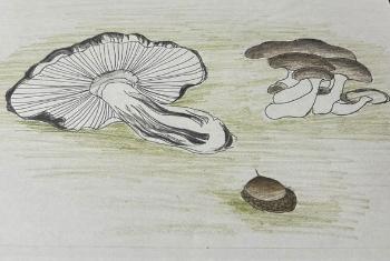 陶芸体験教室下絵見本2025その2