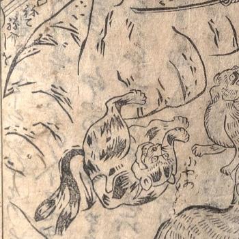 怪談記野狐名玉（猫）